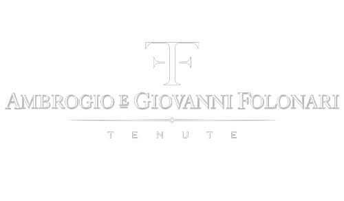 Logo Ambogio e Giovanni Folonari